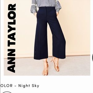 🎁Gorgeous Ann Taylor Wide Leg, Cropped Pant